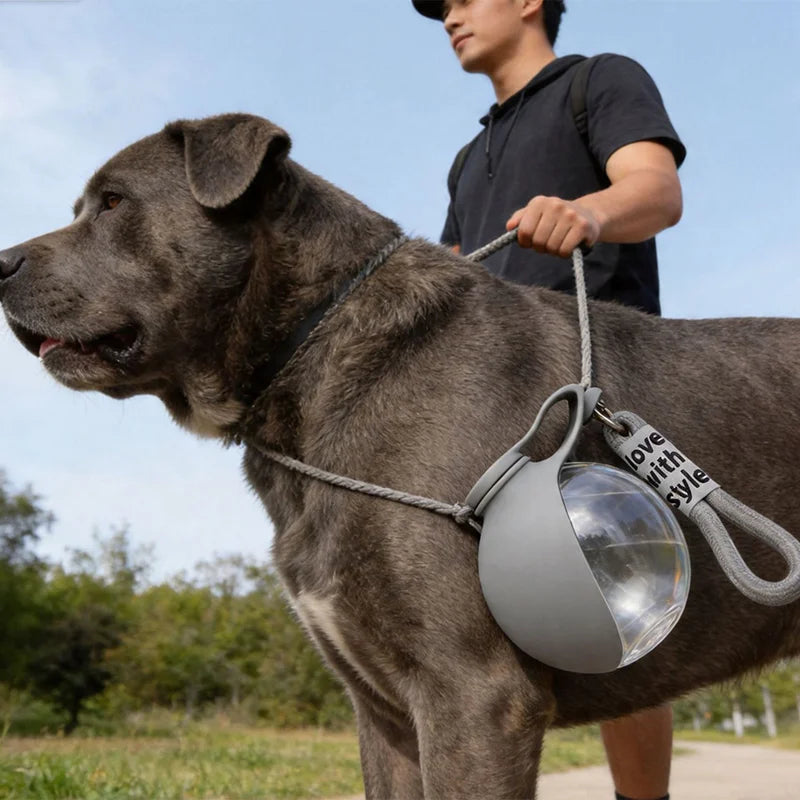 Spherical Foldable Outdoor Water Dispenser for Pets