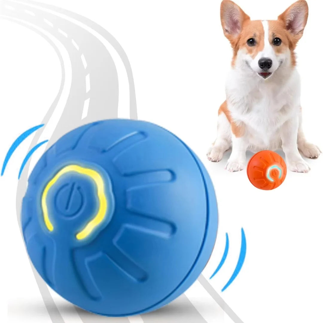 Smart Gravity Bouncing Ball for Dogs & Cats
