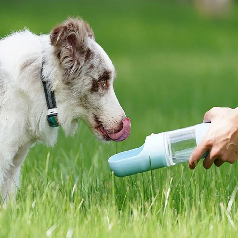 Portable Outdoor Water Bottle for Dogs