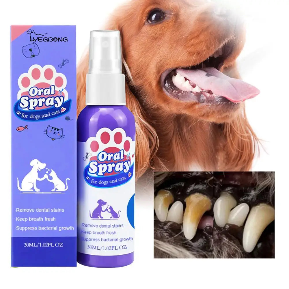 Mint Dental Spray for Plaque & Tartar Removal