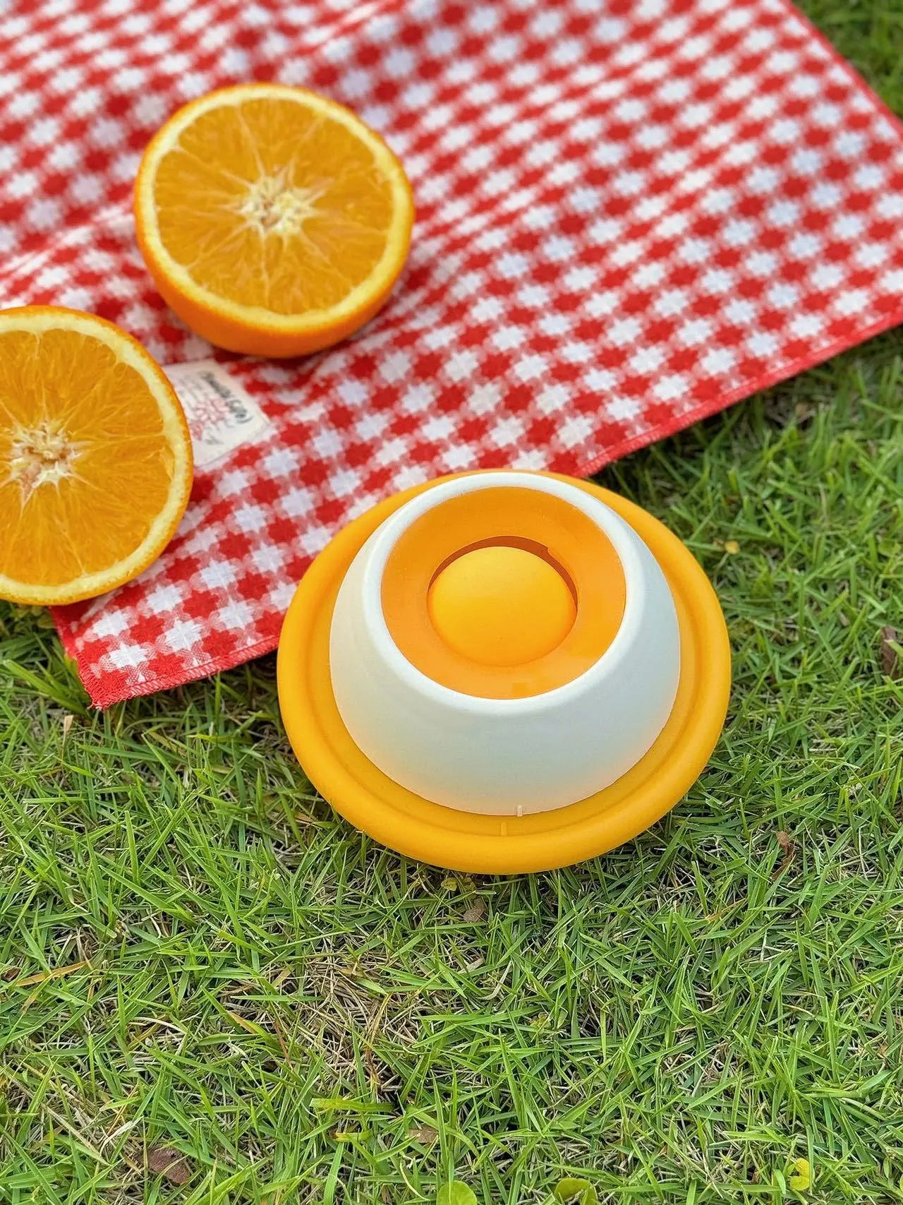 Lick Mat & Slow Feeder Bowl for Dogs & Cats