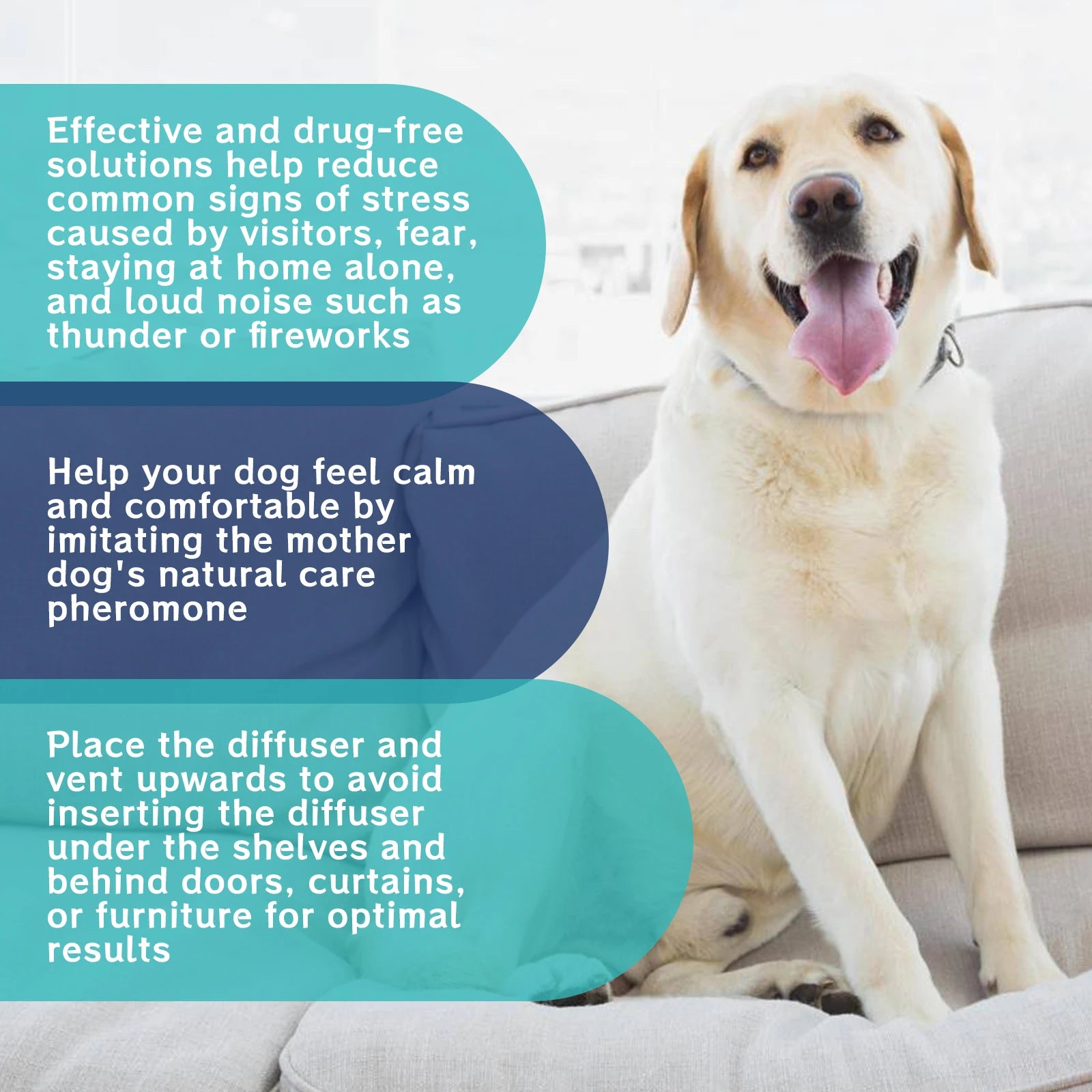 Calming & Anxiety Relief Liquid for Cats & Dogs