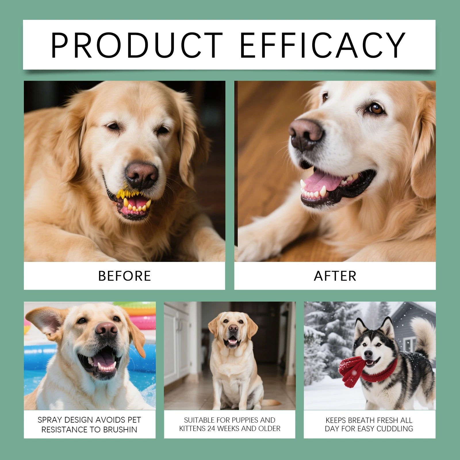 No-Rinse Oral Spray for Fresh Breath in Dogs & Cats