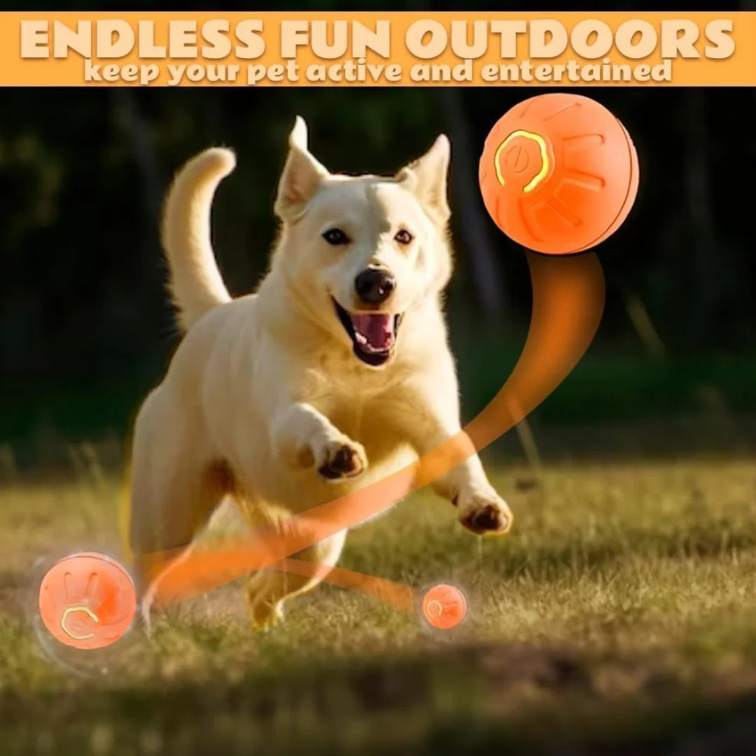 Smart Gravity Bouncing Ball for Dogs & Cats