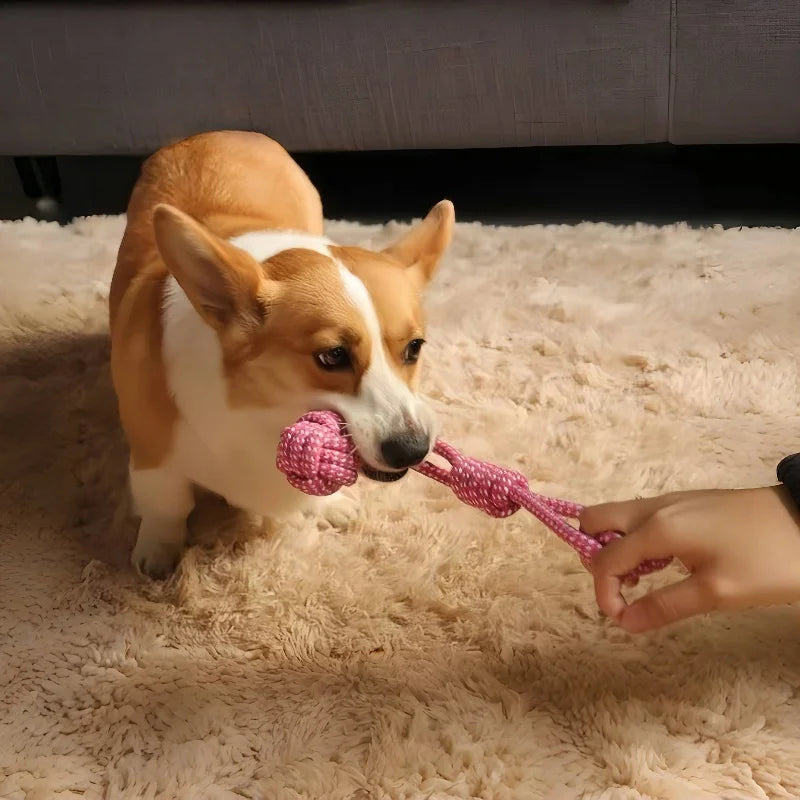 Cotton Rope Ball & Toothbrush Chew Toy for Dogs