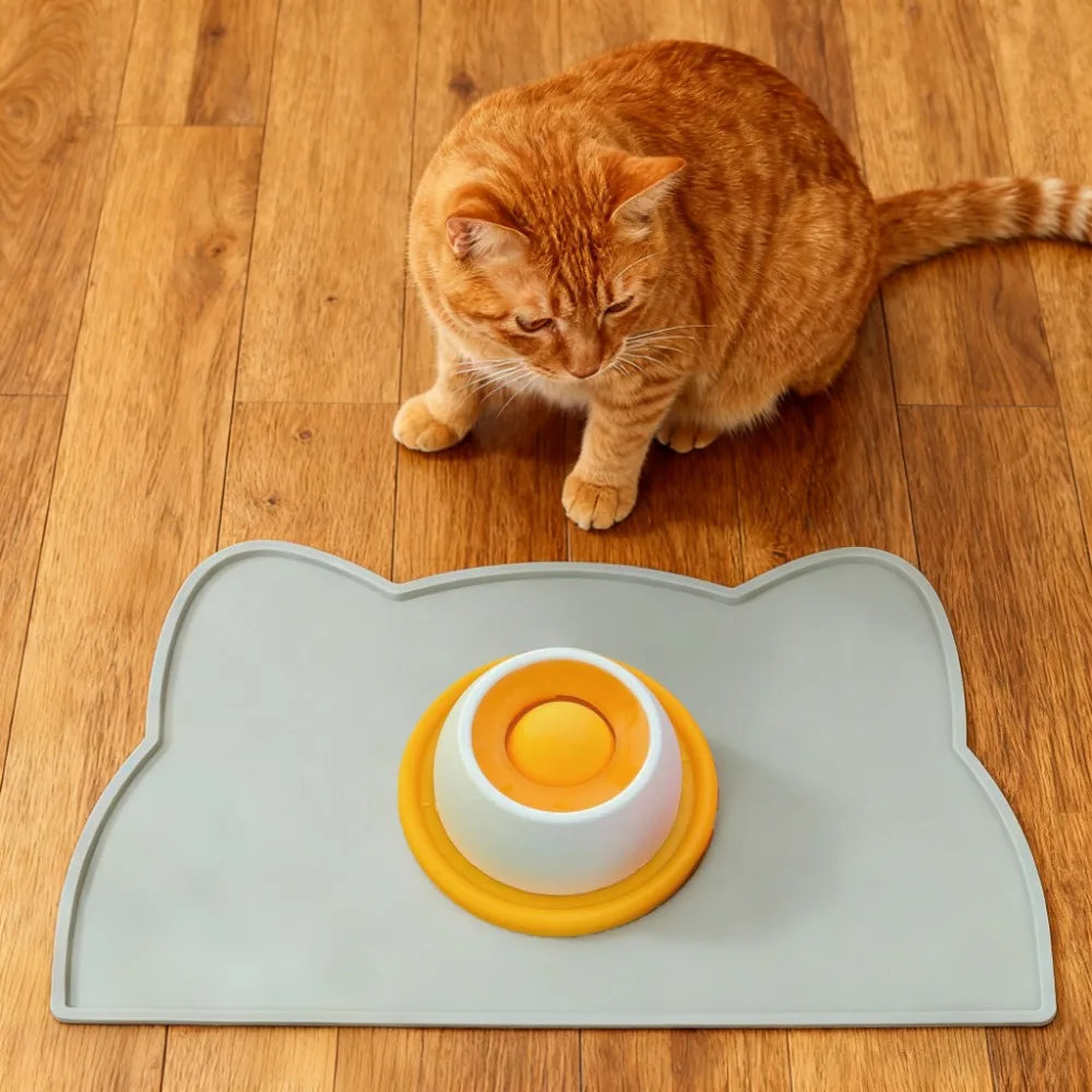 Lick Mat & Slow Feeder Bowl for Dogs & Cats