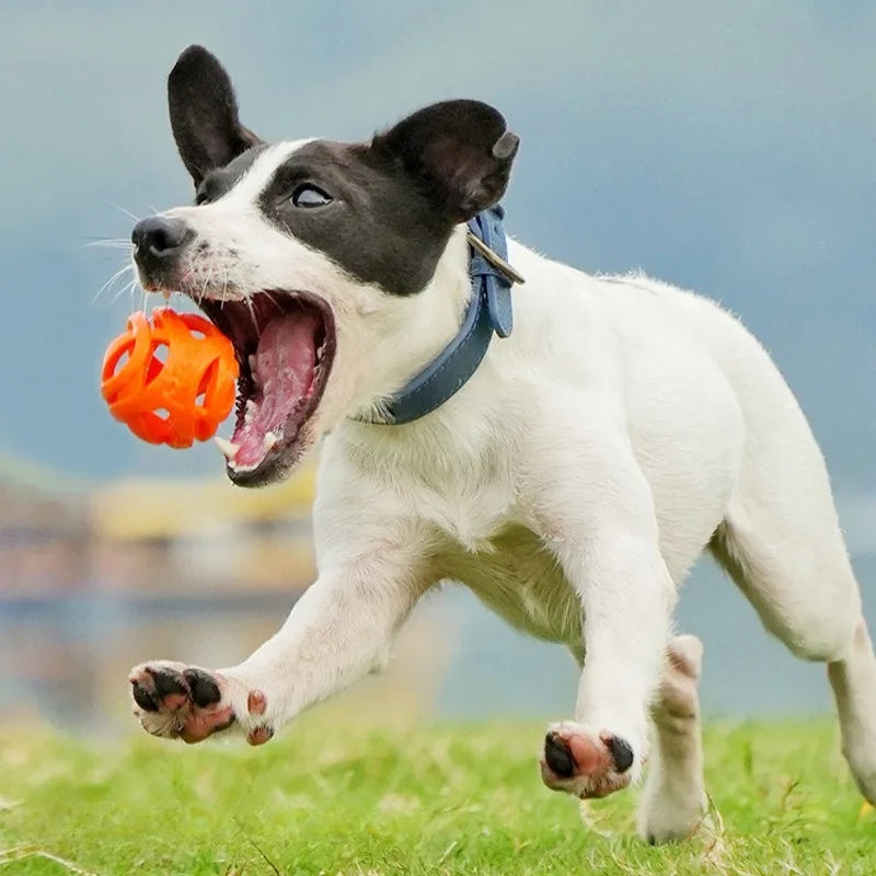 Hollow Rubber Chew & Training Ball for Pets