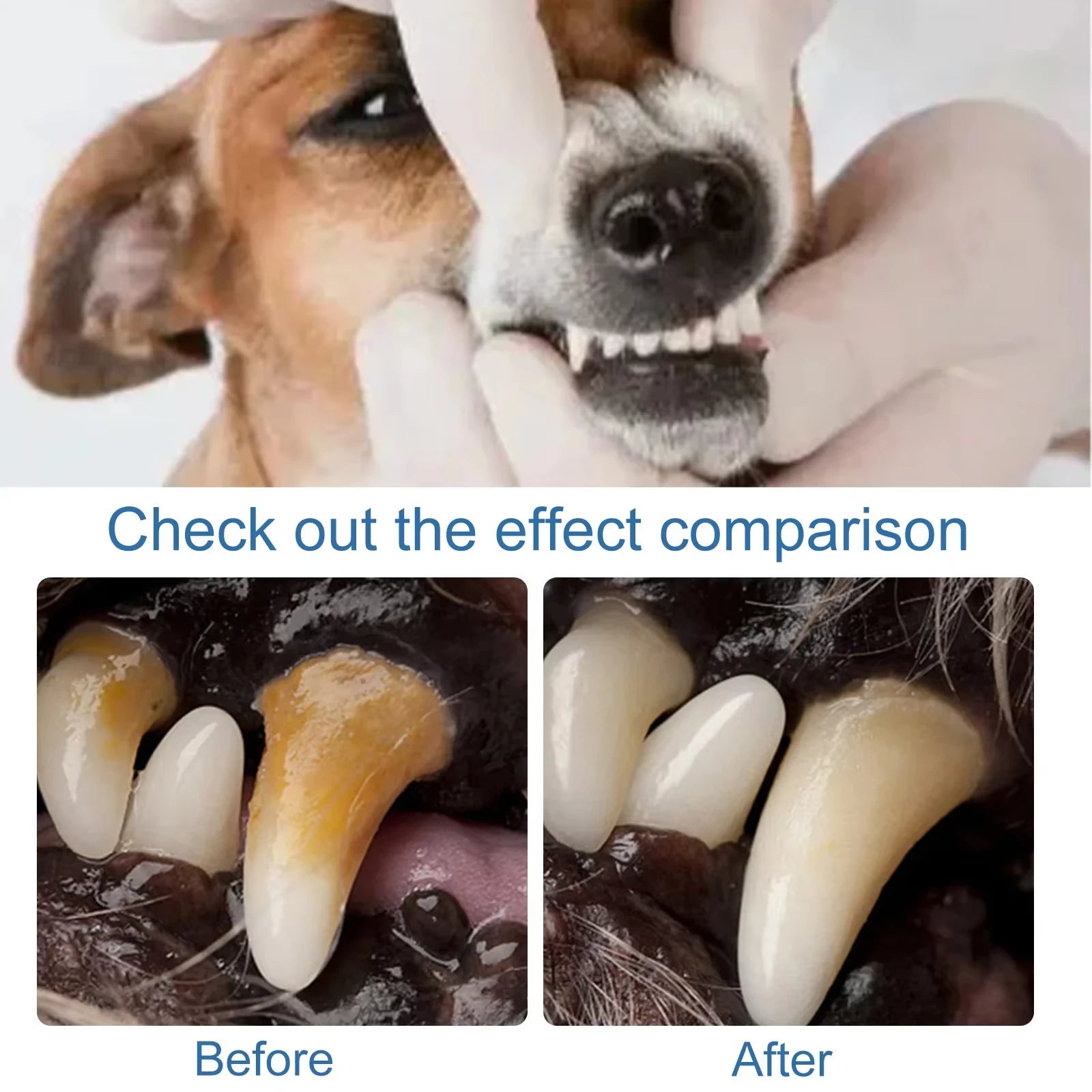 Dental Care Foam & Breath Freshener for Dogs