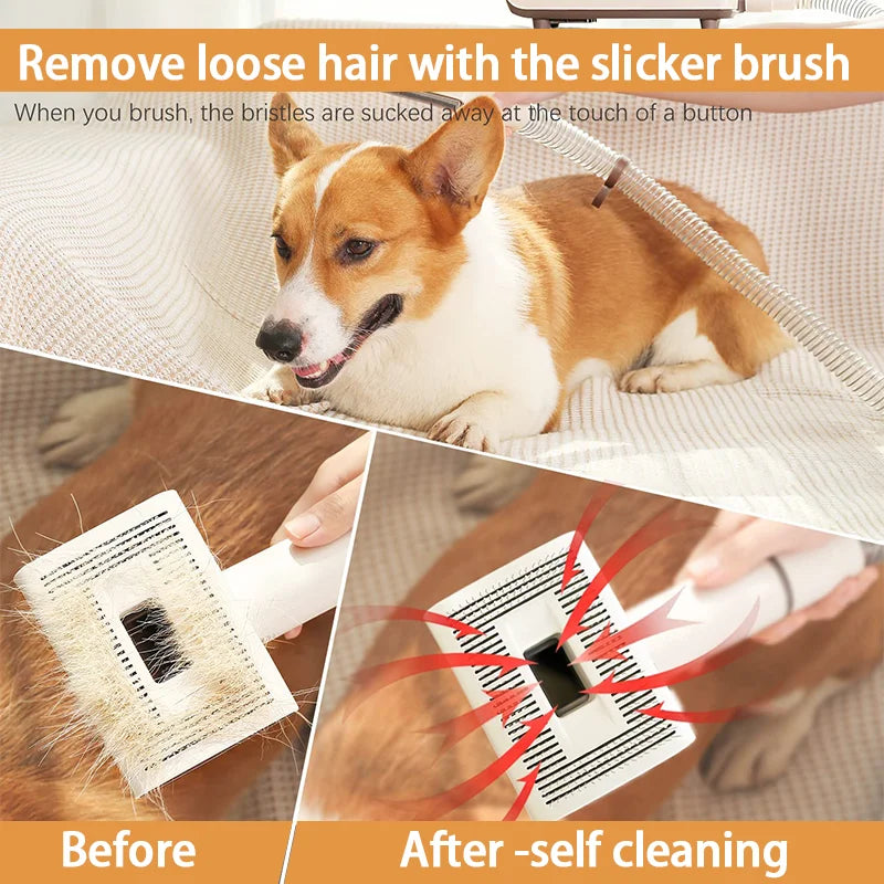 Professional 7-Piece Pet Grooming Clipper Kit