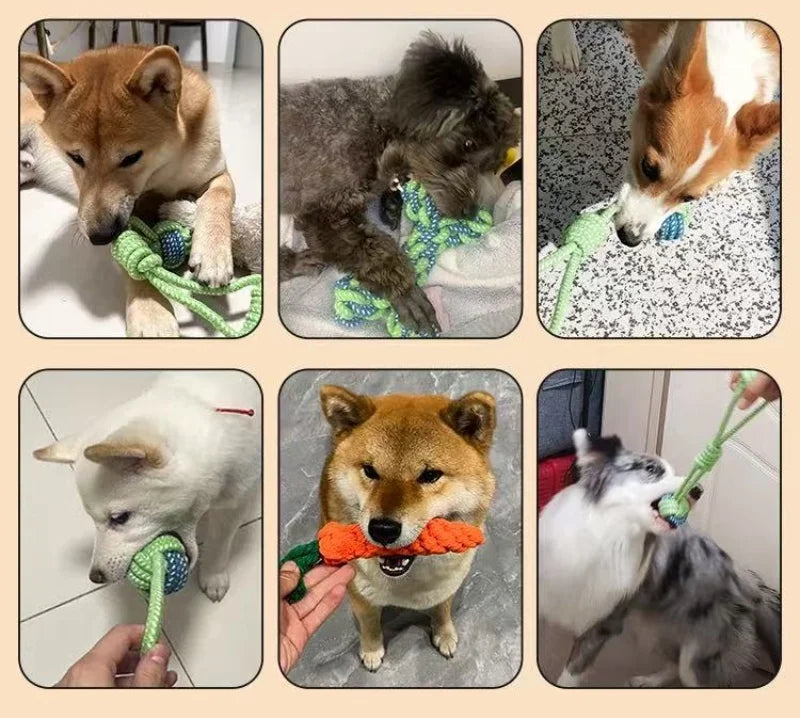 Cotton Rope Ball & Toothbrush Chew Toy for Dogs