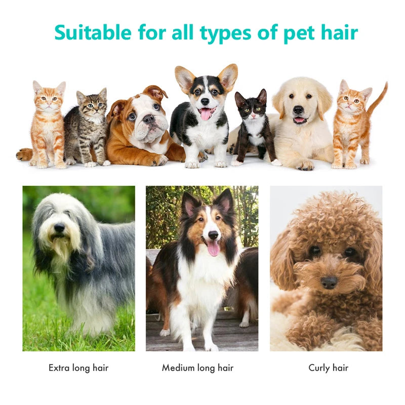 Pet Grooming Accessories Set