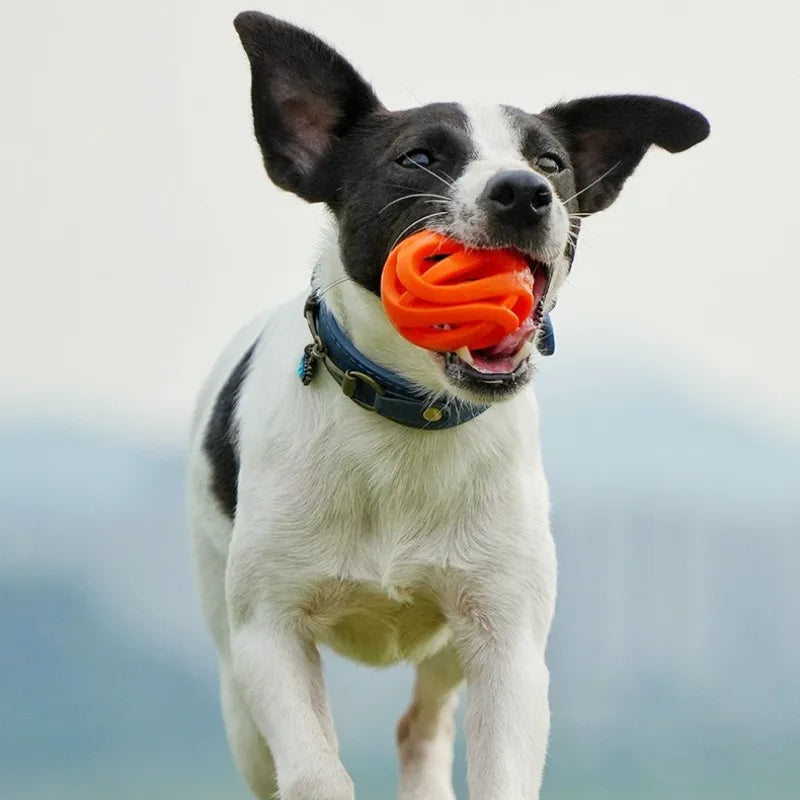 Hollow Rubber Chew & Training Ball for Pets