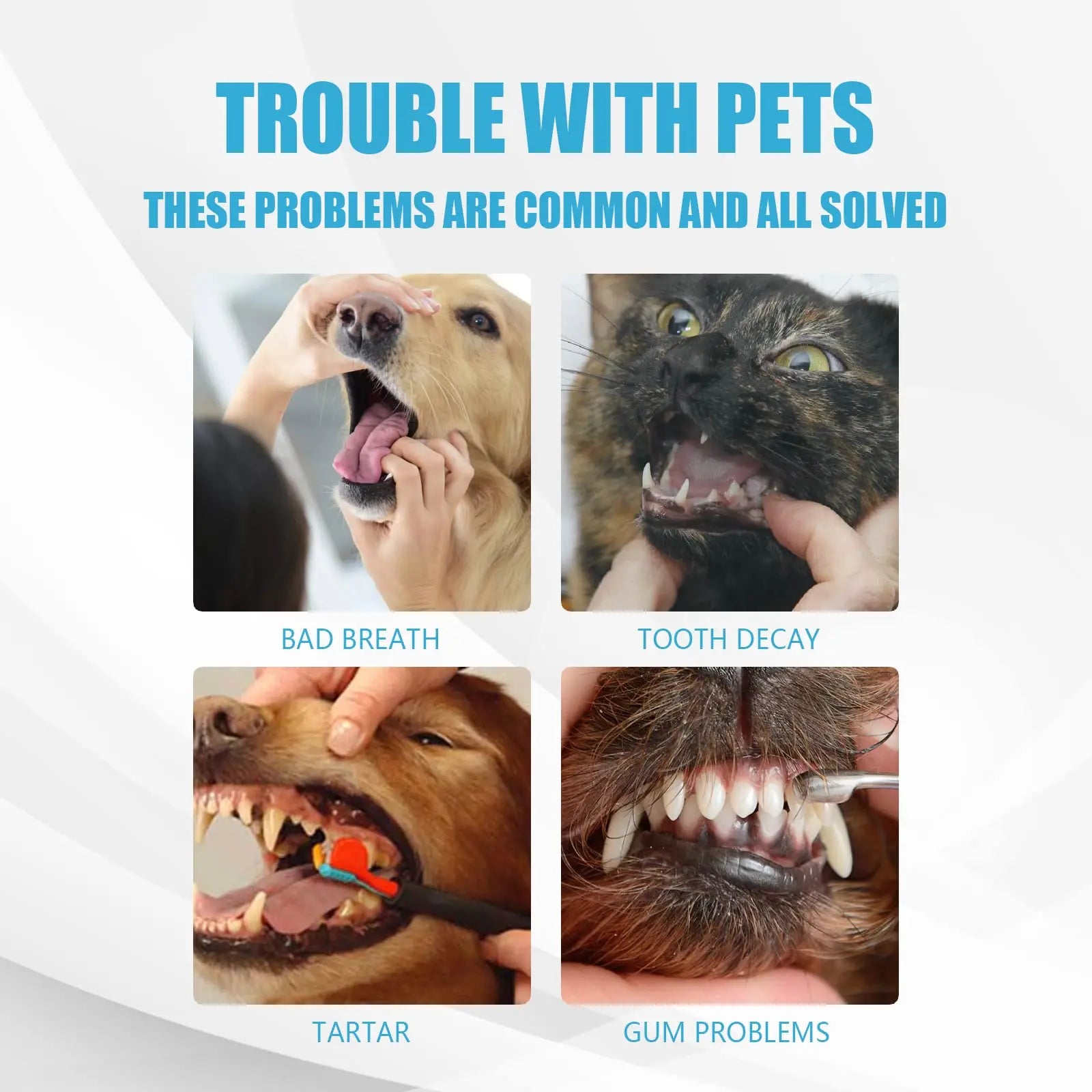 Edible Toothpaste for Dogs — Fresh Breath & Gum Health