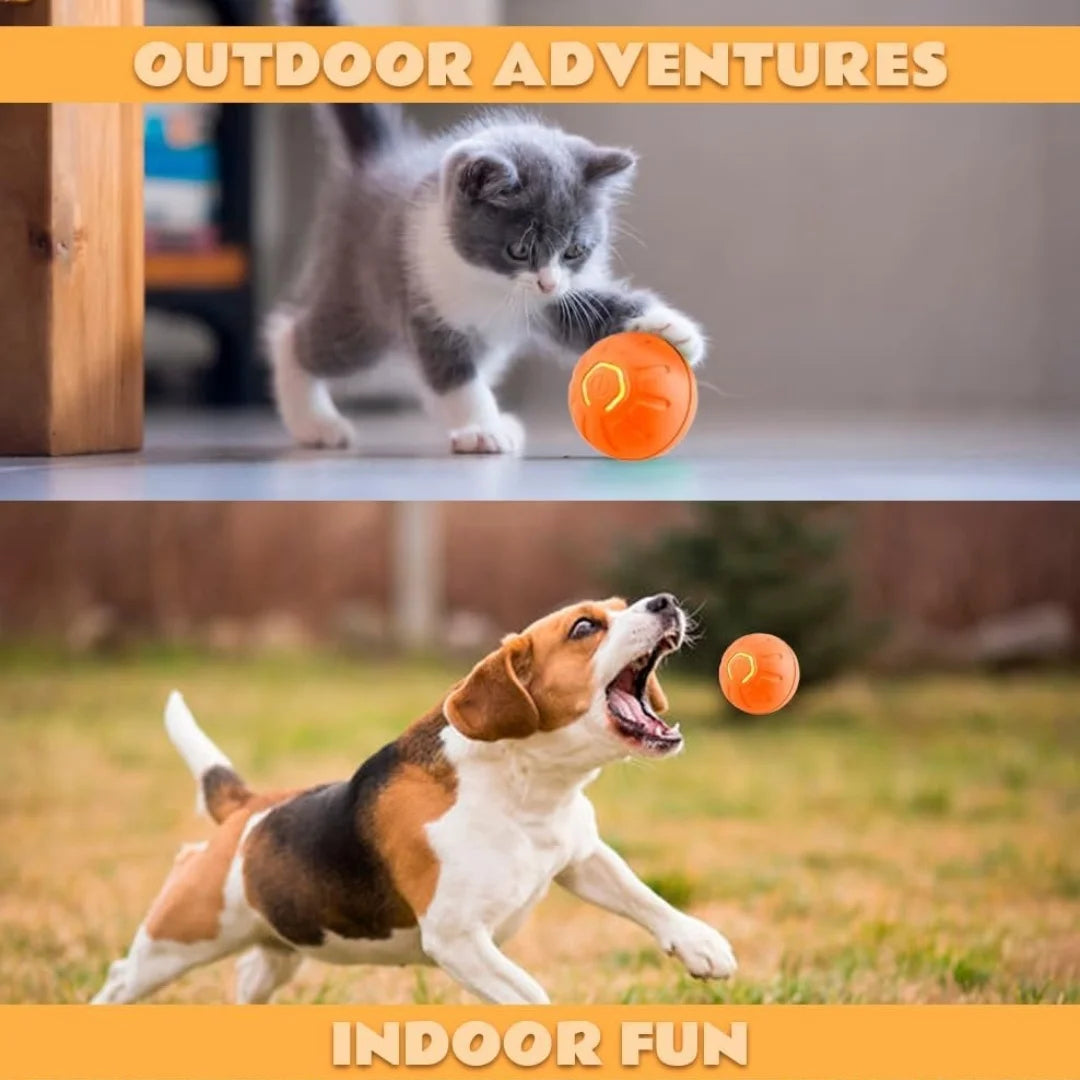 Smart Gravity Bouncing Ball for Dogs & Cats