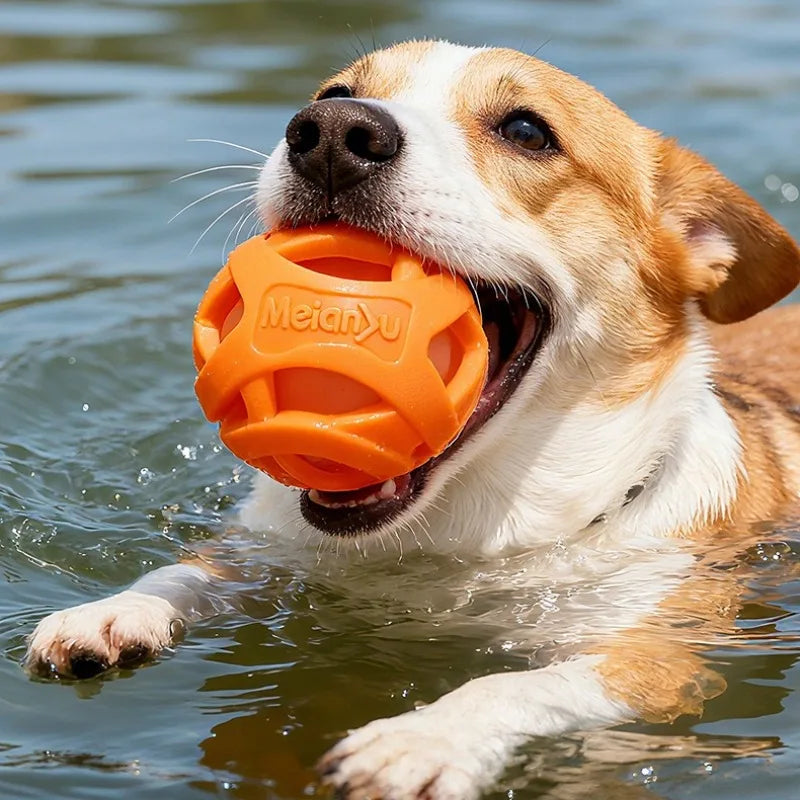 Hollow Rubber Chew & Training Ball for Pets