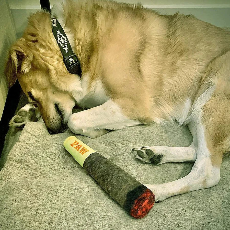 Cigar Plush Squeaky Chew Toy for Dogs