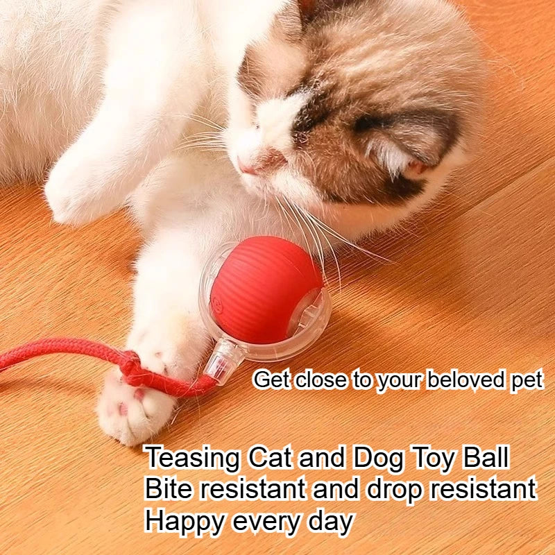 Self-Entertainment Rope Teaser Jumping Ball for Pets