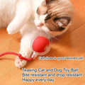 Self-Entertainment Rope Teaser Jumping Ball for Pets