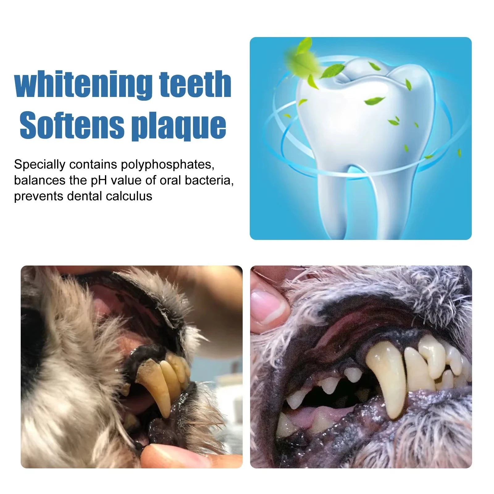 Dental Care Foam & Breath Freshener for Dogs