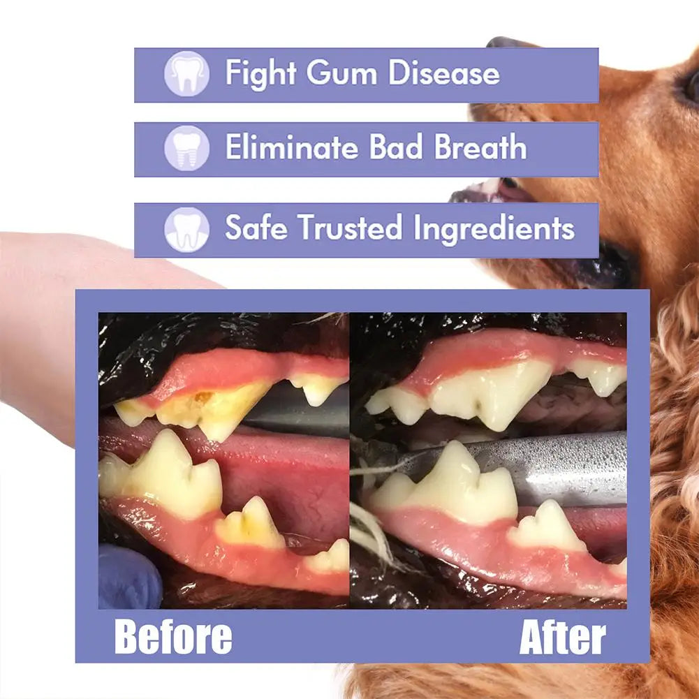 Mint Dental Spray for Plaque & Tartar Removal