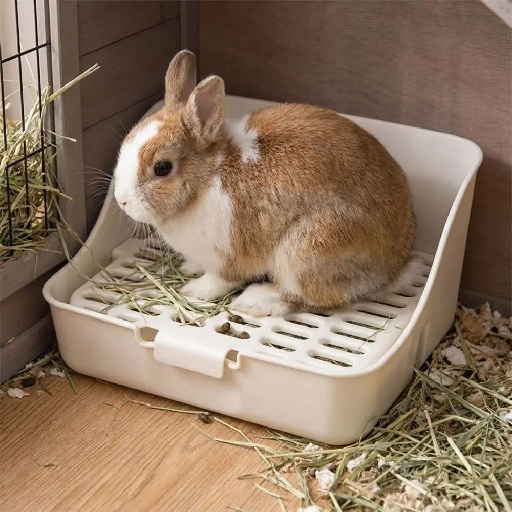 Splash-Proof Rabbit & Small Pet Litter Box
