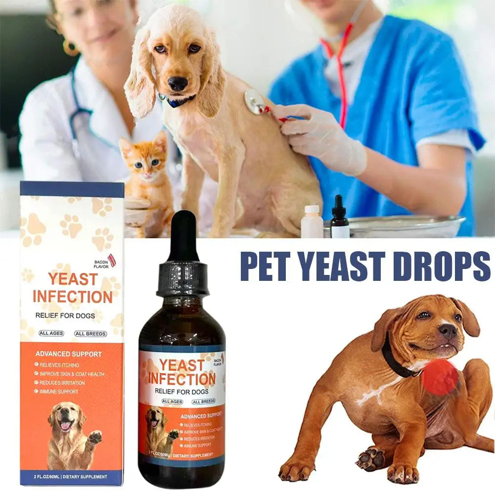 Yeast Probiotic Drops for Pet Gut Health