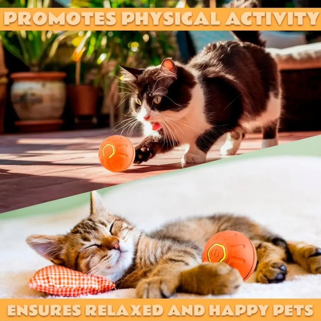 Smart Gravity Bouncing Ball for Dogs & Cats