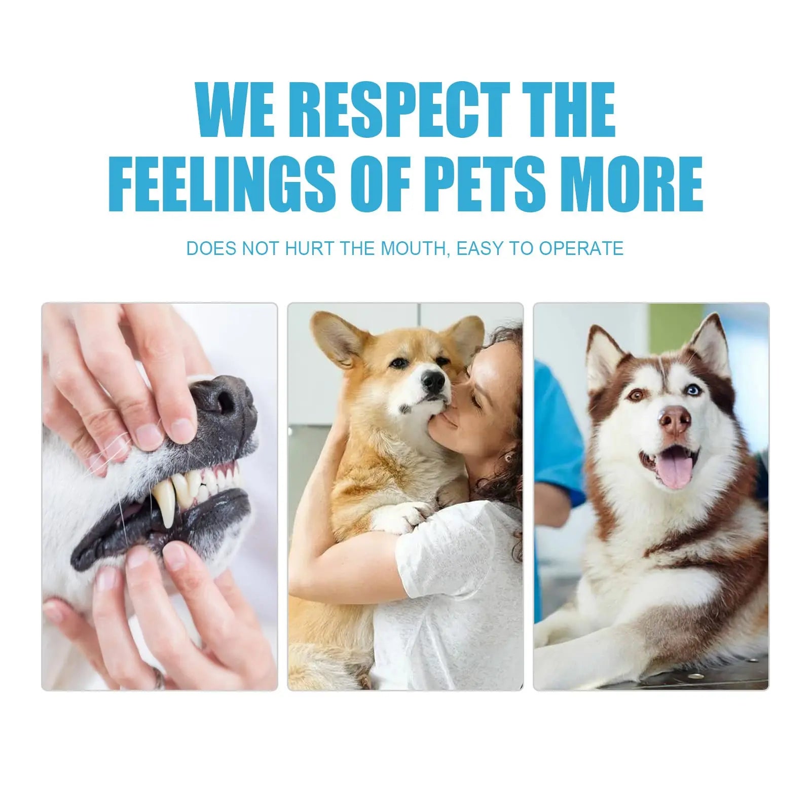 Edible Toothpaste for Dogs — Fresh Breath & Gum Health