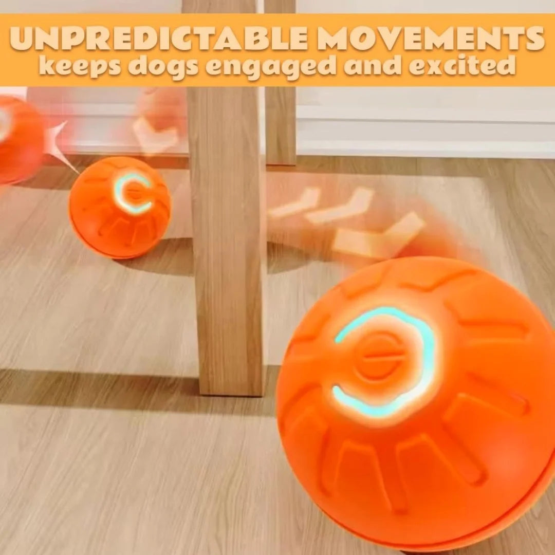 Smart Gravity Bouncing Ball for Dogs & Cats