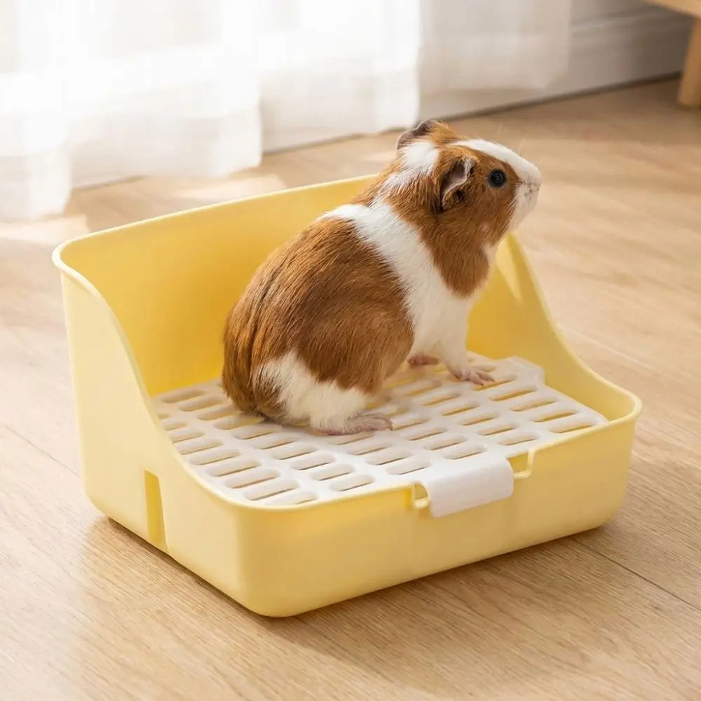 Splash-Proof Rabbit & Small Pet Litter Box