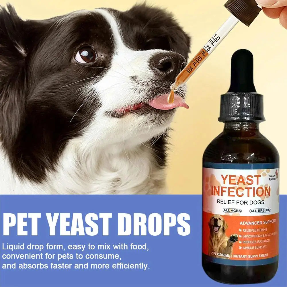 Yeast Probiotic Drops for Pet Gut Health