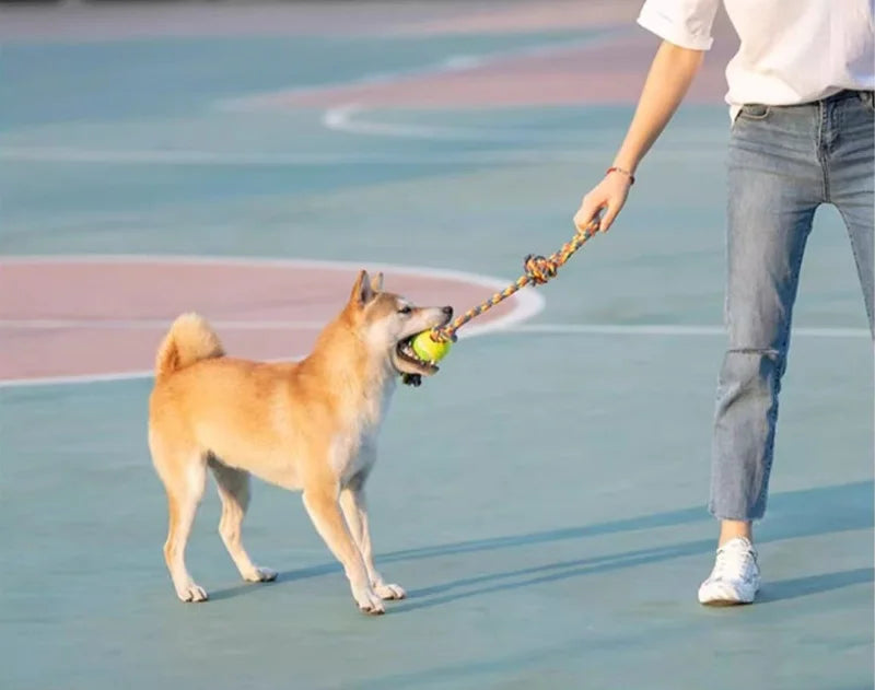 Cotton Rope Ball & Toothbrush Chew Toy for Dogs