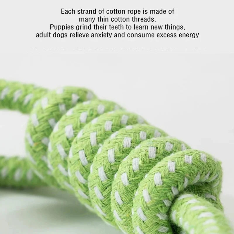 Cotton Rope Ball & Toothbrush Chew Toy for Dogs