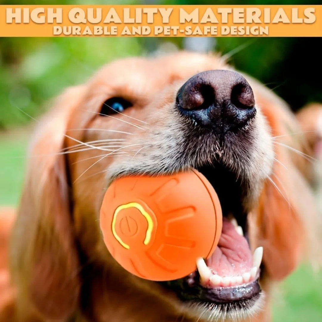 Smart Gravity Bouncing Ball for Dogs & Cats