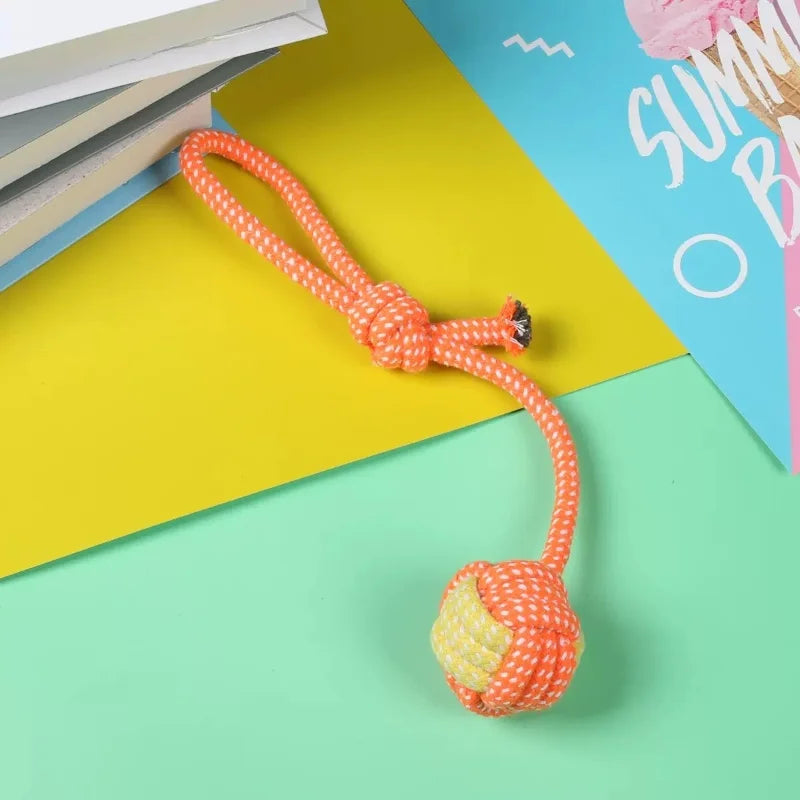 Cotton Rope Ball & Toothbrush Chew Toy for Dogs