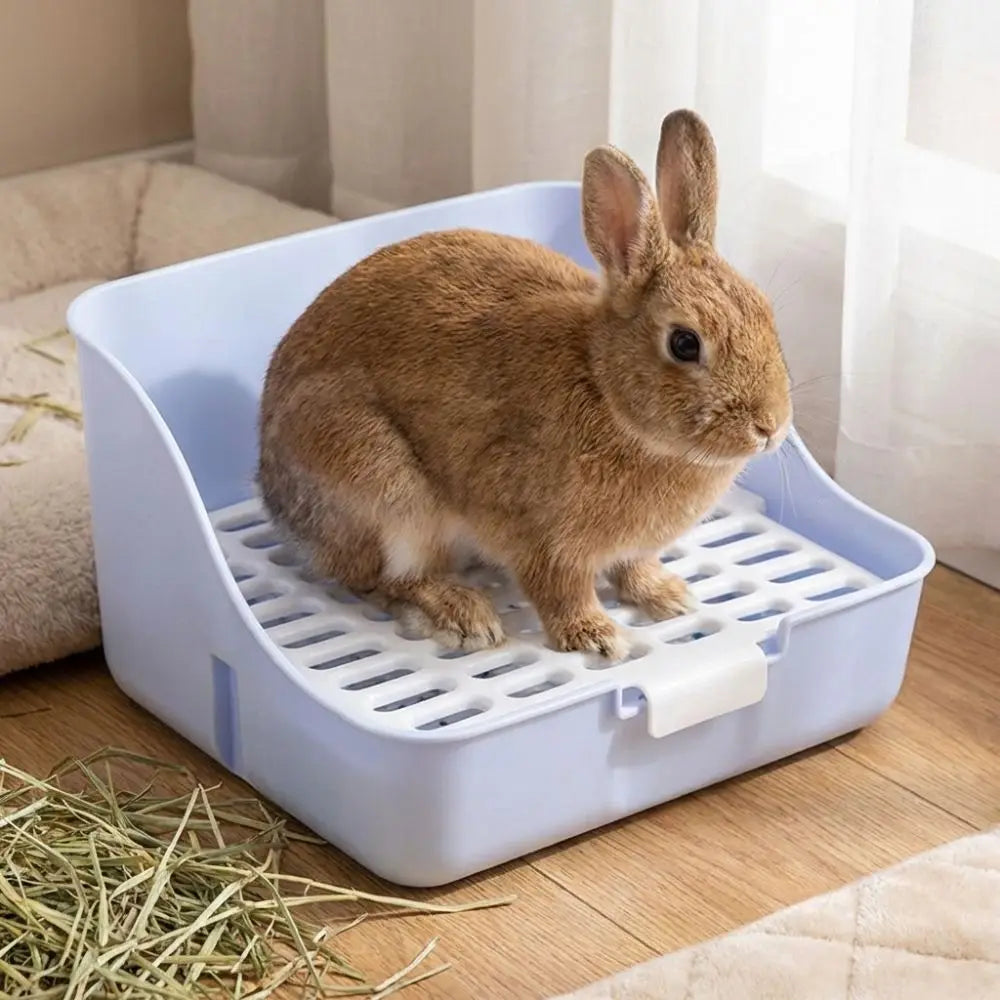 Splash-Proof Rabbit & Small Pet Litter Box