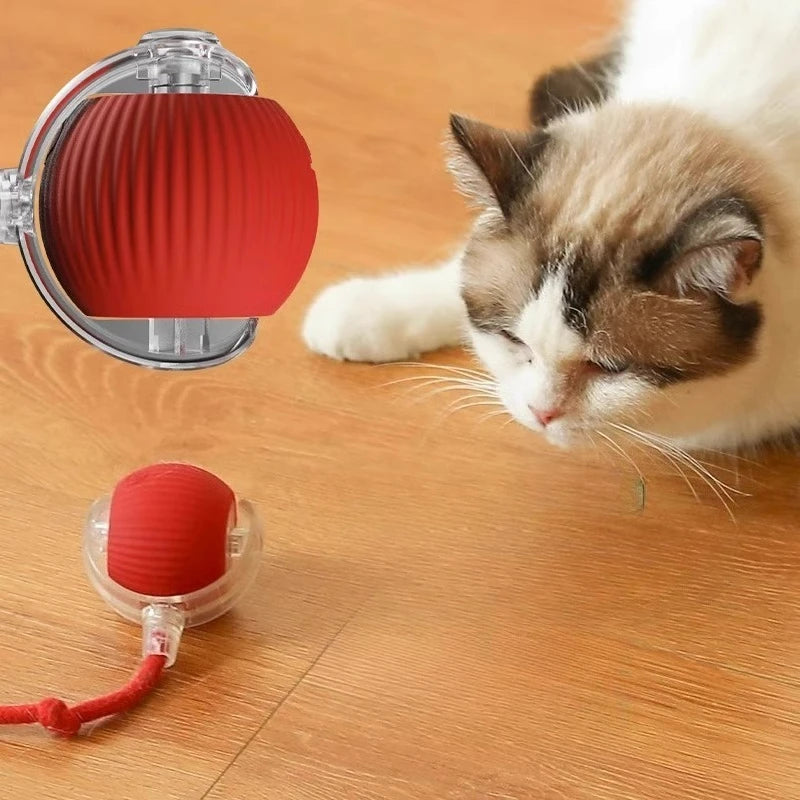 Self-Entertainment Rope Teaser Jumping Ball for Pets