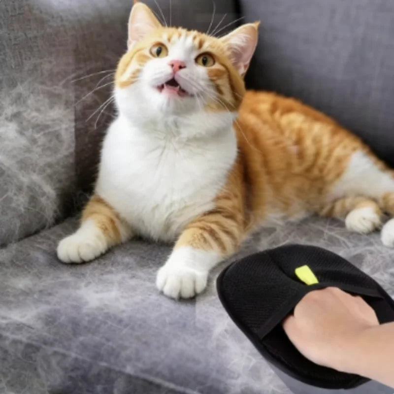 Pet Hair Removal Grooming Glove for Sofas & Clothes