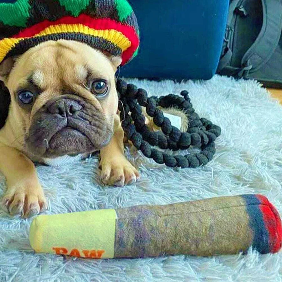 Cigar Plush Squeaky Chew Toy for Dogs