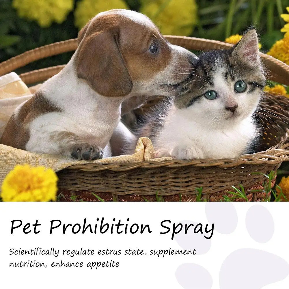 Pheromone Calming Spray for Cats & Dogs